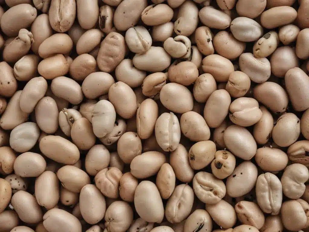 An Ode to the Rare Beans of Lechkhumi
