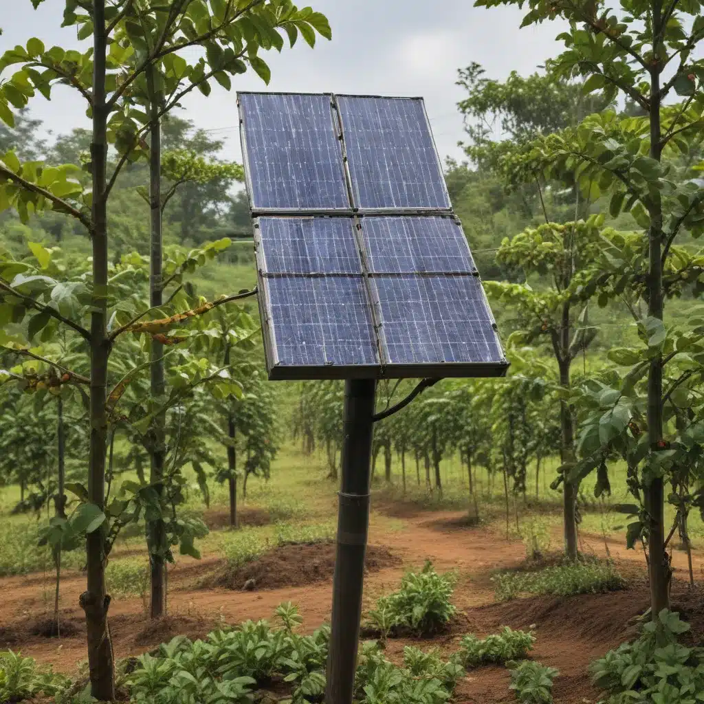 Solar Power Meets Coffee Farming