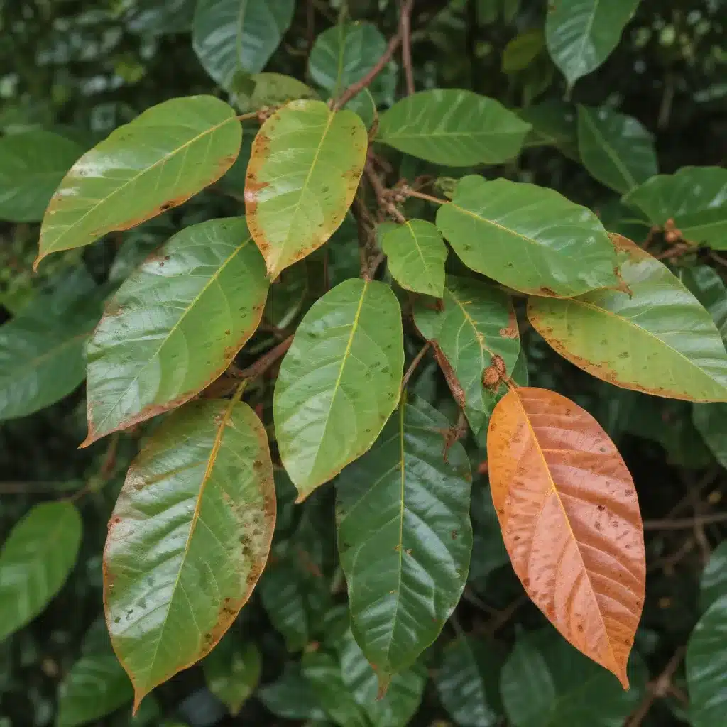 Coffee Leaf Rust: An Evolving Threat