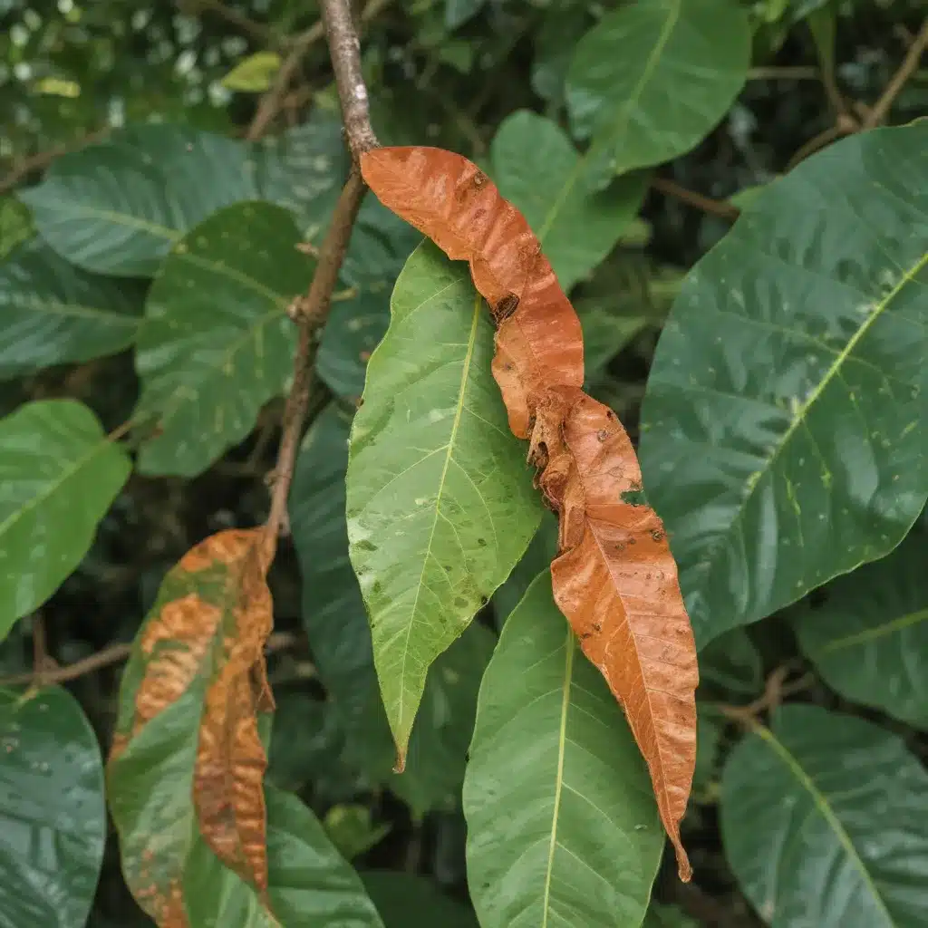 Coffee Leaf Rust: An Ongoing Threat