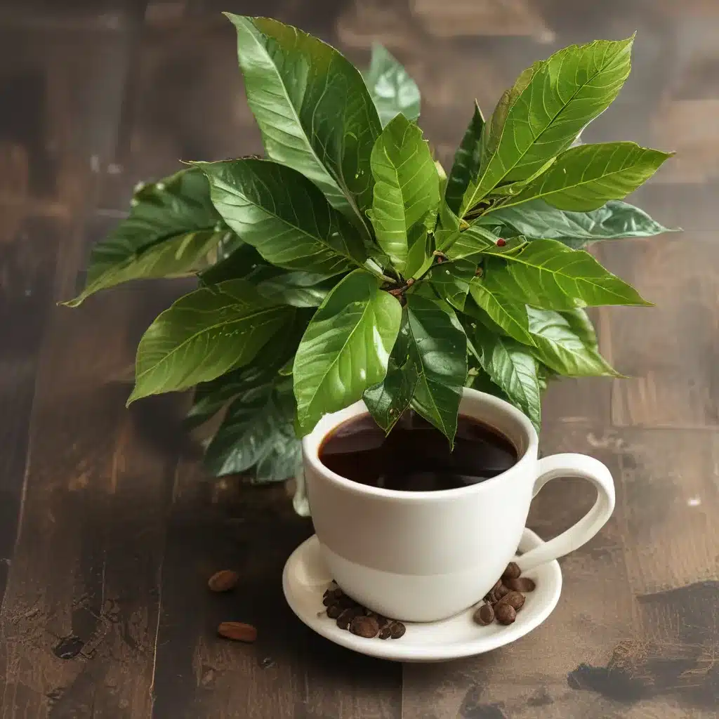 Coffee Leaf Tea: Benefits & Flavor Profile