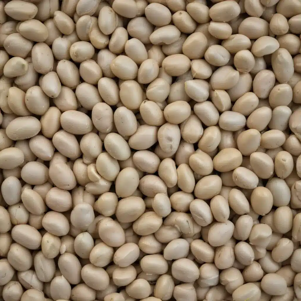 The Meskhetian Beans that Seduced the World